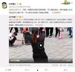 枫丹爆料全部视频播放,揭秘幕后故事与精彩瞬间