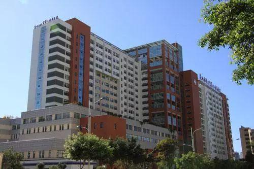 昆医网红,校园风采与青春活力的完美融合