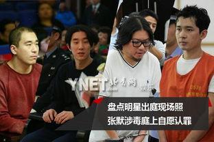 明星受审,当明星遭遇法庭审判