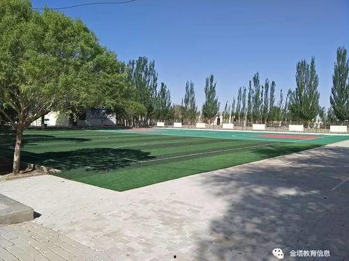 头条发展动态分析,揭秘平台发展新趋势与战略布局