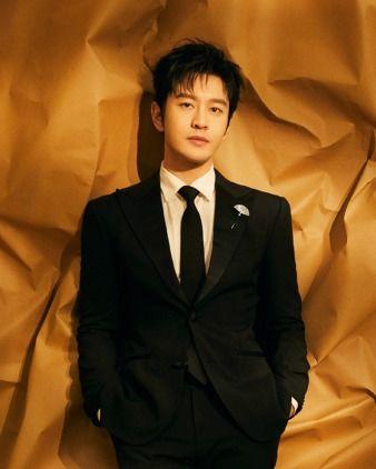 内路男明星,揭秘娱乐圈背后的璀璨星辰