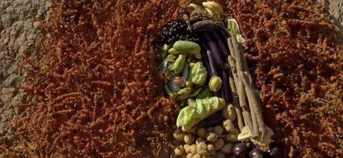 梵梵吃瓜网红,揭秘网红背后的瓜田生活