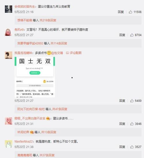 平台辱骂明星,辱骂风波背后的深思