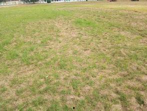 农民伯伯吃瓜图片,农民伯伯的丰收喜悦瞬间