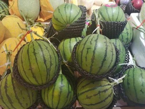 穿到民国吃瓜日常,吃瓜群众的日常趣事