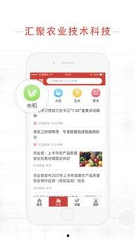 农垦头条下,聚焦农业现代化，共话垦区发展新篇章