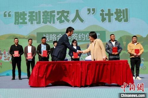 永宁区胜利镇新闻头条,聚焦乡村振兴新篇章