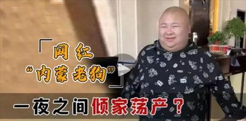 网红会破产吗,揭秘网红破产的真相与警示