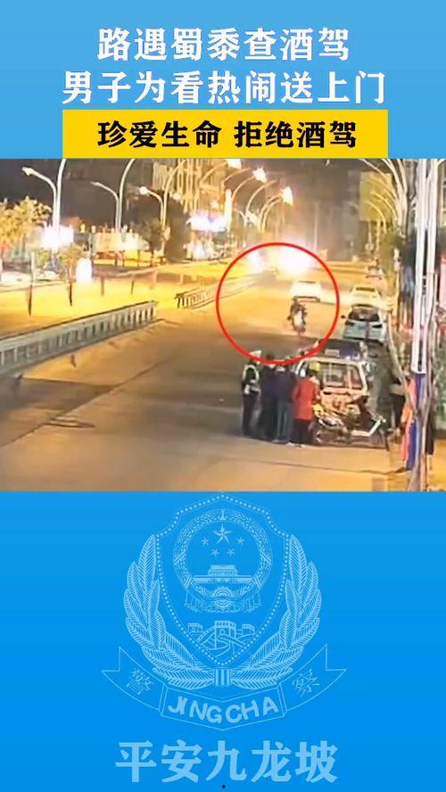 吃瓜吃到自己头上黑狗,黑狗自食其果的尴尬经历