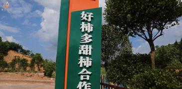 甘霖县今日新闻头条,聚焦乡村振兴，共绘美好家园新画卷