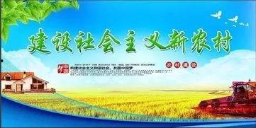 今日头条河源地摊,探寻街头美食的独特魅力