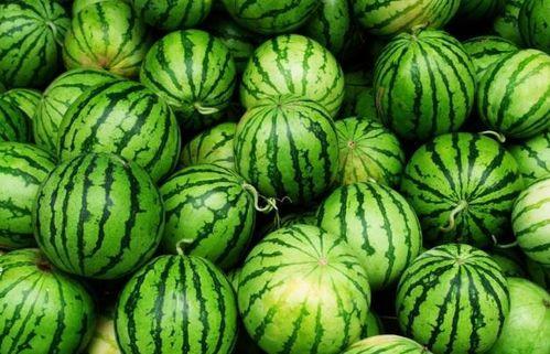 夏季吃四瓜是哪四瓜,四瓜助力清凉一夏