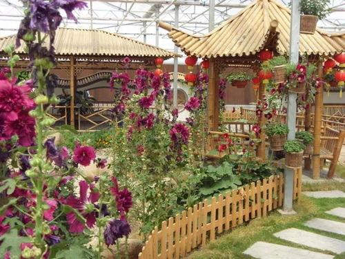 今日头条上海文化村,融合传统与现代的艺术新地标