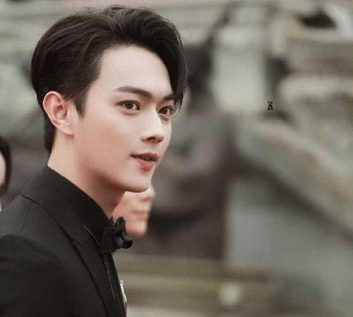 明星的义务,塑造公众形象的典范之路