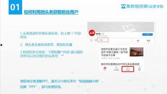 微头条有垂直度,微头条如何打造高垂直度内容生态